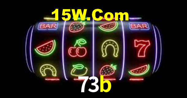 73b.com