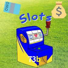 73b